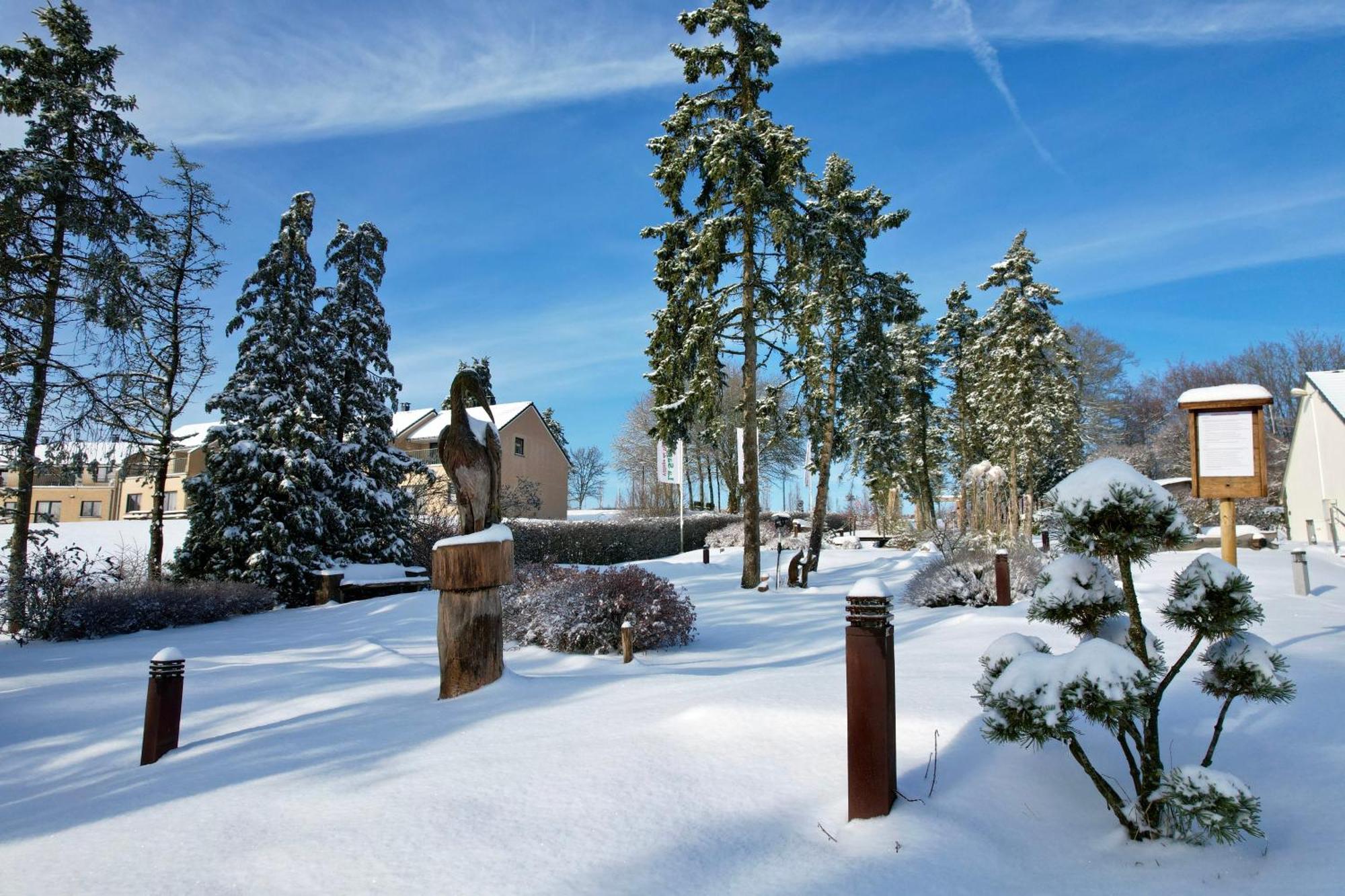 La Sapiniere Villa Hosingen Exteriör bild